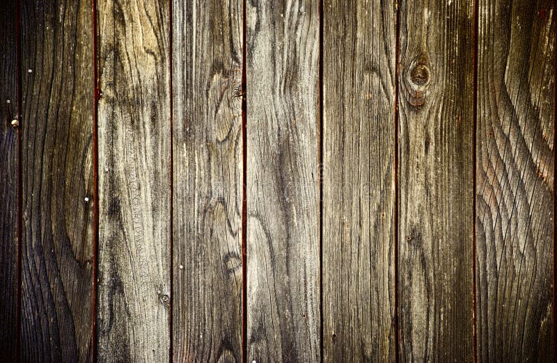 Hãy khám phá những hình vẽ minh họa tuyệt đẹp về Barn Wood - một chất liệu gỗ đầy lịch sử và giàu tính thẩm mỹ. Sự kết hợp giữa nét vẽ tinh tế và tông màu ấm áp, cam kết sẽ khiến bạn hài lòng với những tác phẩm này!