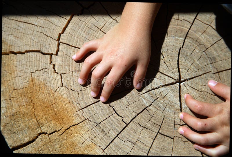 Wood texture and child hands