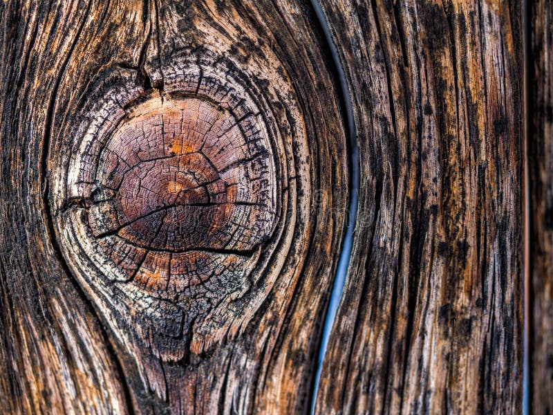 Vista de cerca de textura de madera.