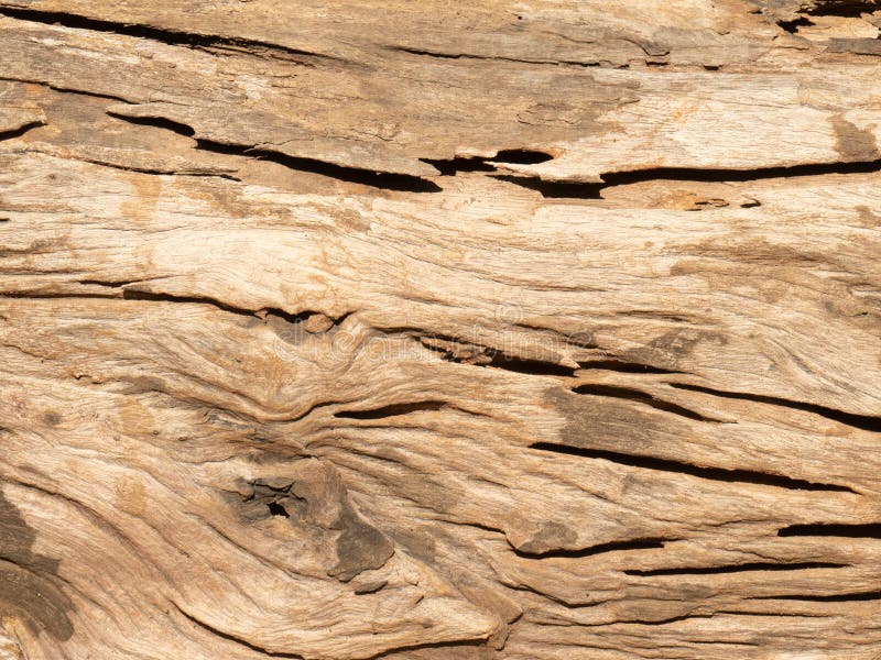komen Senaat Opa Closeup Shot of Old Teak Wood Texture Stock Photo - Image of rough, shot:  165510648