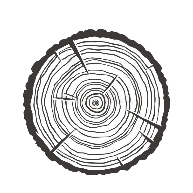 Wood texture rings slice of tree wooden stump