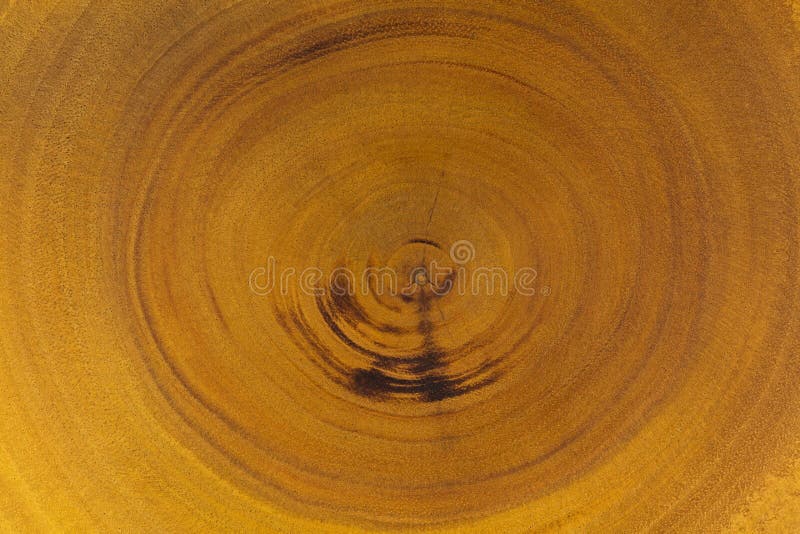 Wood Texture of Rustic Wooden Board Showing Annual Ring Circles Stock