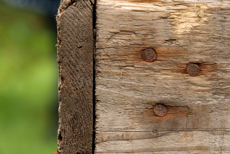 Wood texture with rusty nails