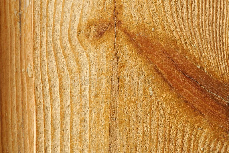 Wood texture, wood background