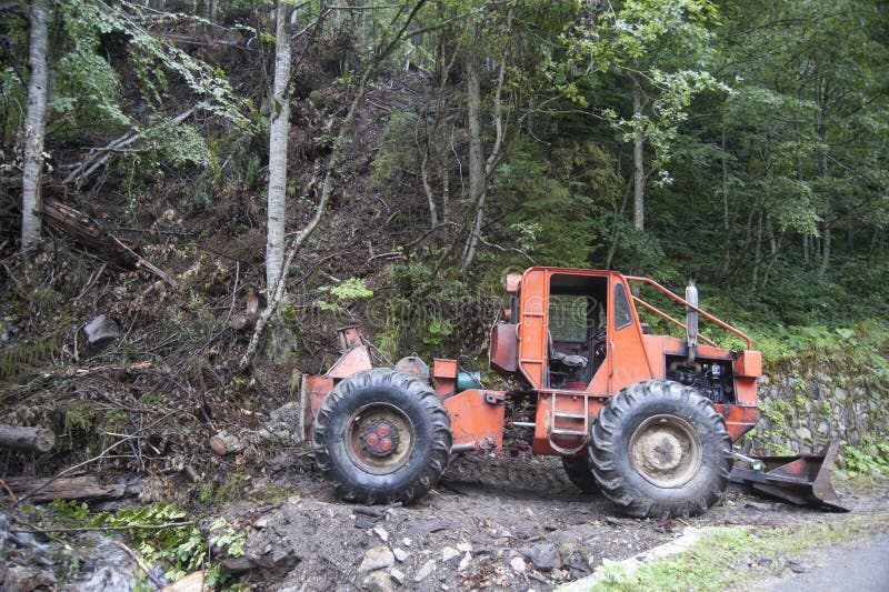 Wood and Timber Industry in Romania Stock Photo Image of production, area 216157568