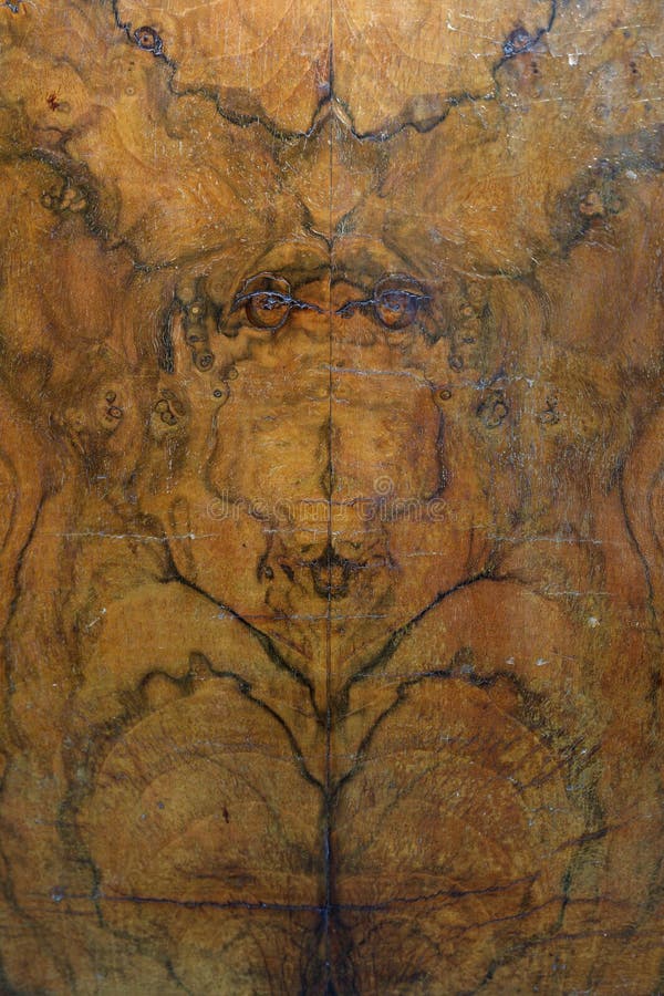 Wood Veneer stock photo. Image of veneer, background 113153088