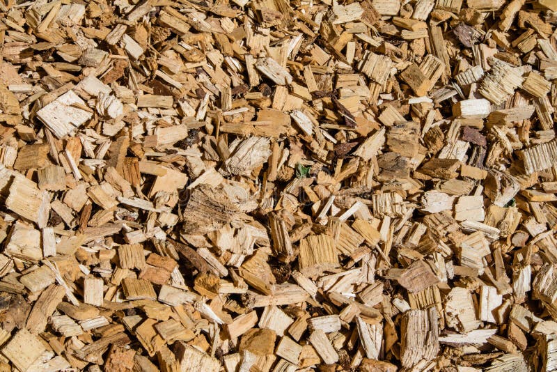 Woodchip solid fuel for Biomass plant from forest waste