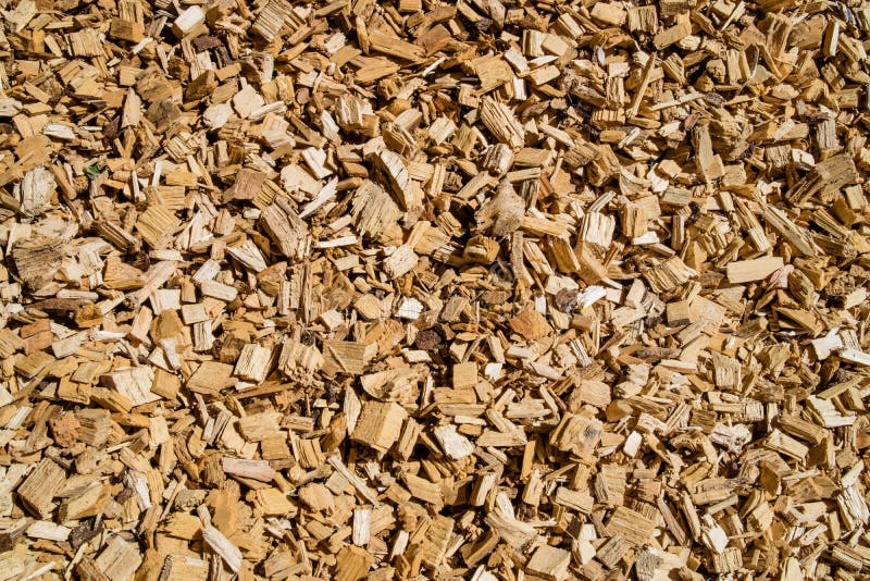 Woodchip solid fuel for Biomass plant from forest waste