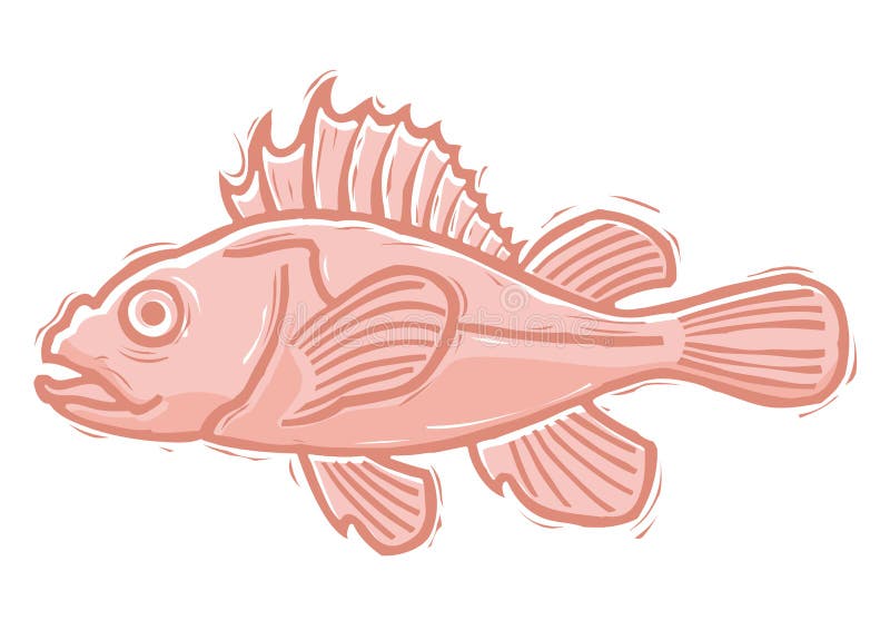 Woodcut rockfish stock vector. Illustration of rockfish 41480030