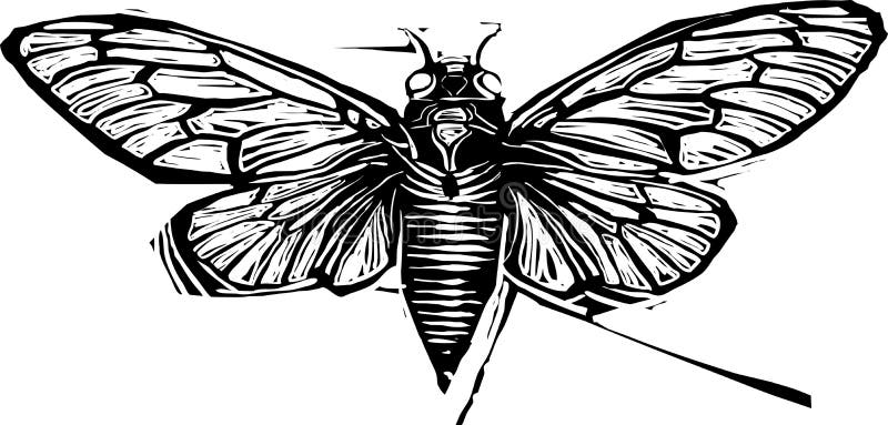 Woodcut winged cicada