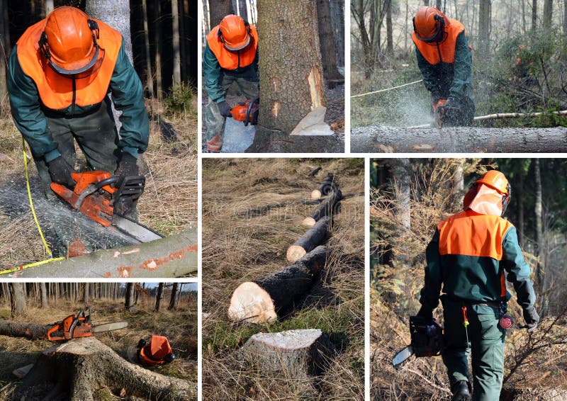 Woodcutter, forest work set
