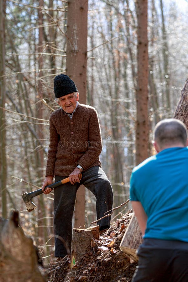 180 Woodcutters Forest Stock Photos Free & RoyaltyFree Stock Photos