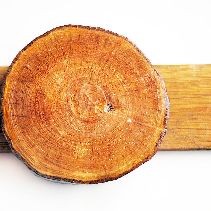 Woodden annual growth ring