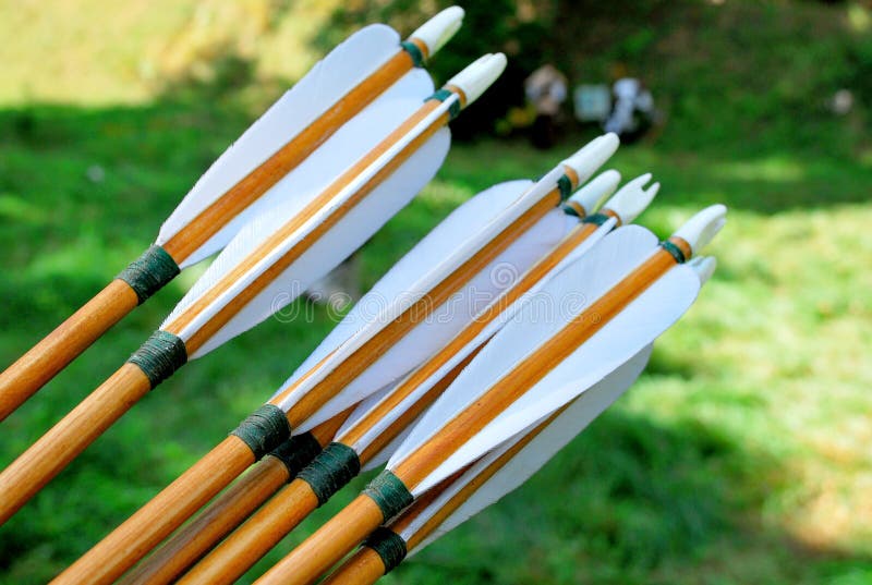 Arrows for archery stock photo. Image of tail, ends, fins 4332468