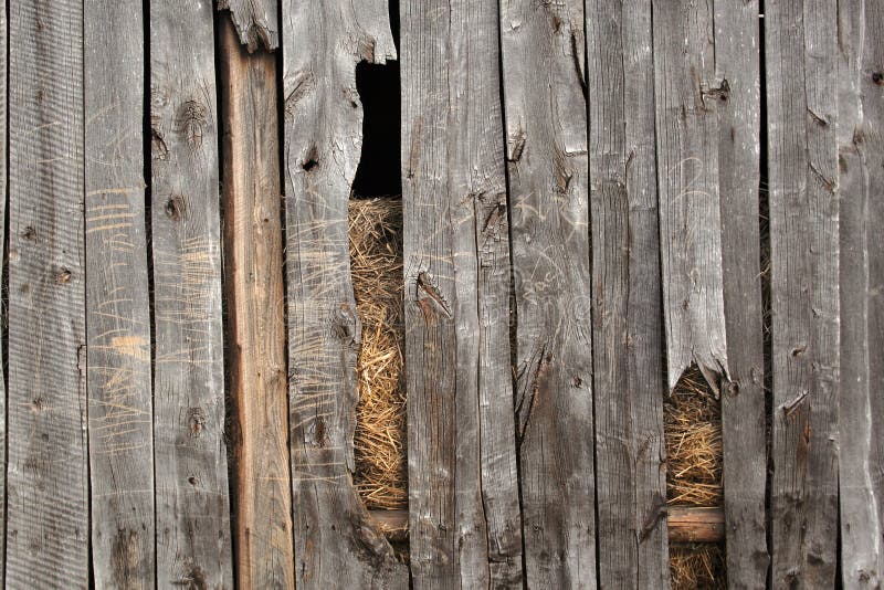 Wooden background