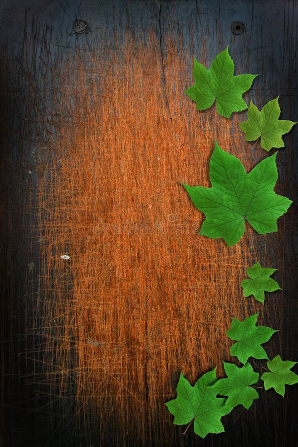 Wooden background with leaf