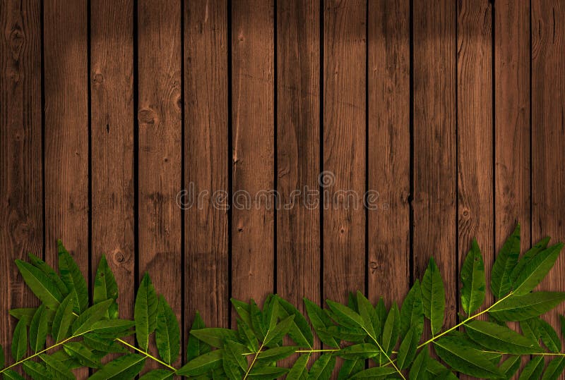 Wooden Background with Leaves Stock Image Image of board, scrapbook