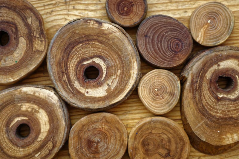 Wooden background with a round slices of cherry, apple tree, plum-tree and ash lumber stock photography Wooden background with a round slices of cherry, apple tree, plum-tree and ash lumber stock photography