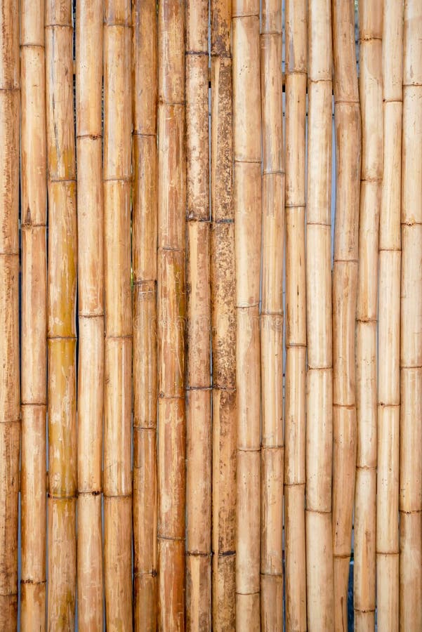 Wooden Bamboo Mat Texture Abstract Background Stock Photo Image Of