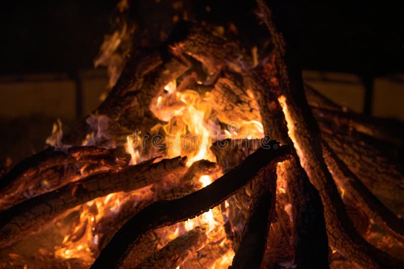 Wooden Bark Burning Fire Shot at Night Stock Photo Image of bark