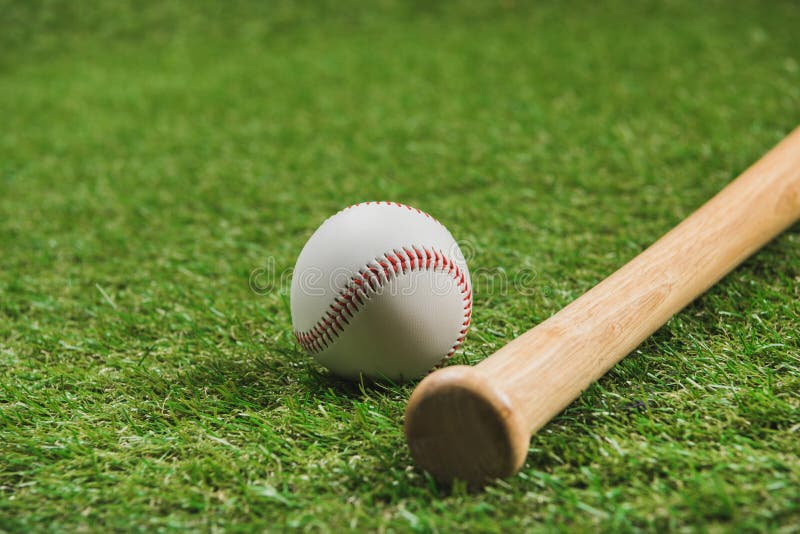 Wooden Baseball Bat with Ball on Green Grass Stock Photo Image of