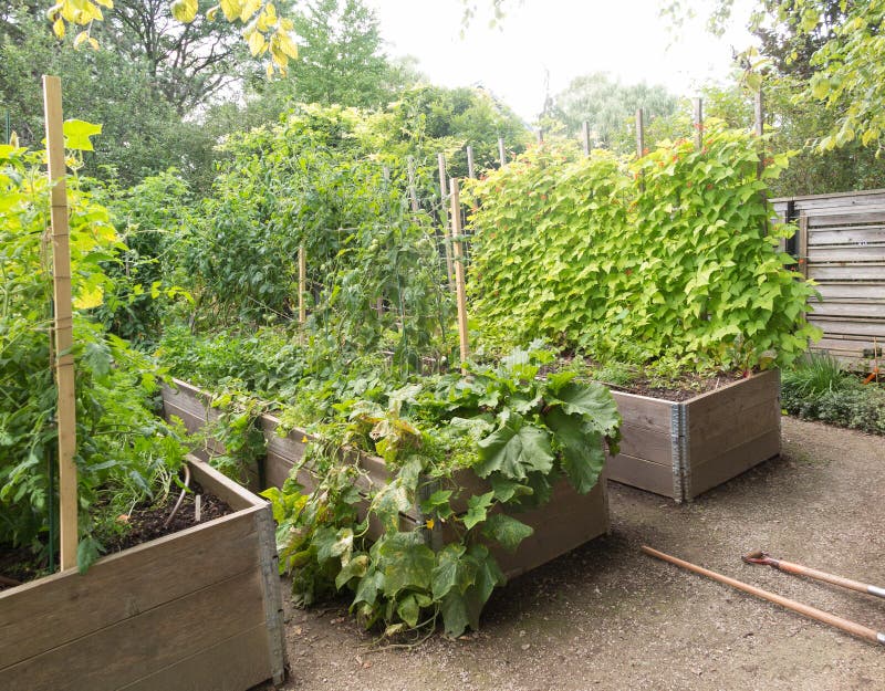Raised garden beds stock photo. Image of earth, mulch 109703624