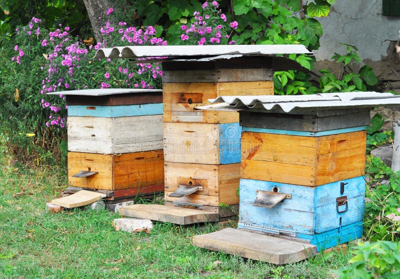 Wooden Beehives. Natural Beekeeping in Your Backyard. Stock Photo Image of wooden, bees 74553712
