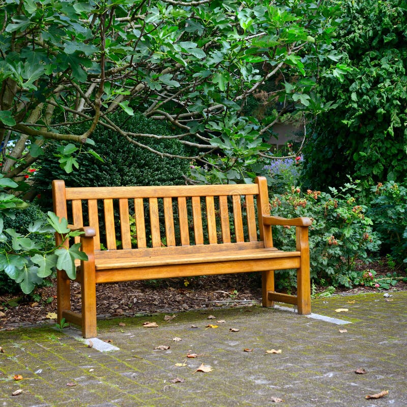 Bench in park stock image. Image of garden, landscaped 33357171