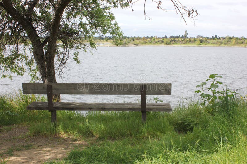 Wooden Bench Overlooking Lake Stock Photo Image of built, next 51901754