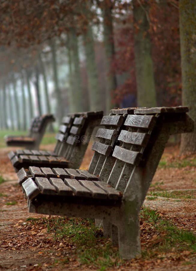 Wooden benches in autumn