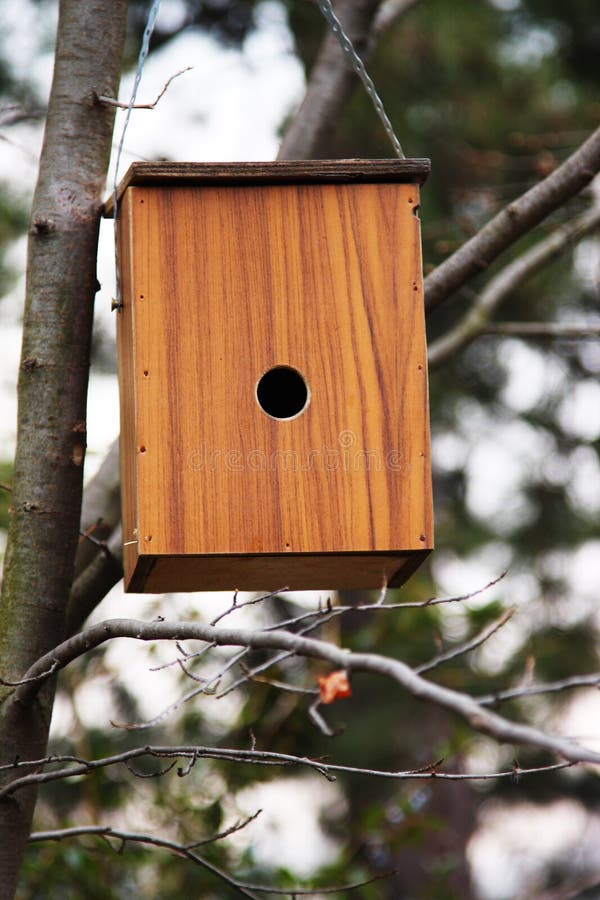 Wooden Bird House On A Branch Of A Tree Stock Photo Image of animal