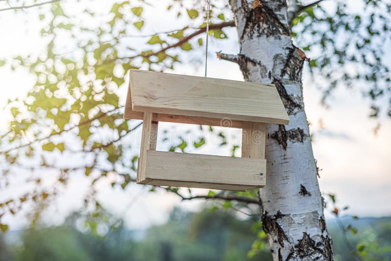 Wooden birdhouse on tree. stock photo.