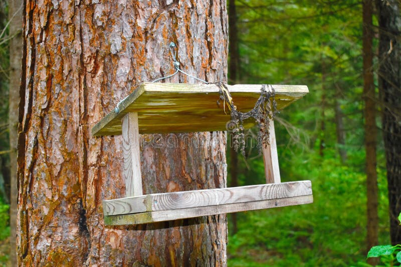 Wooden birds feeder. stock images Wooden birds feeder. stock images