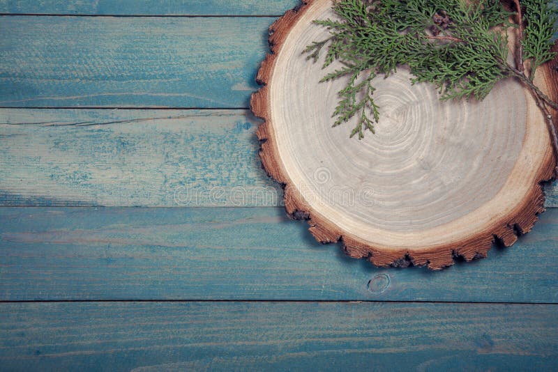 Wooden board with leaves of thuja on wooden table
