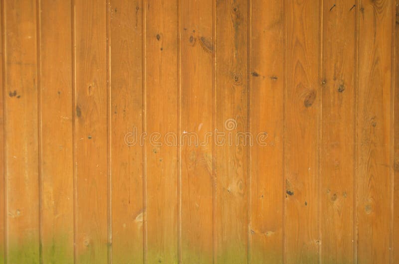 Wooden Board Wall Background Stock Photo Image of brown, backdrop