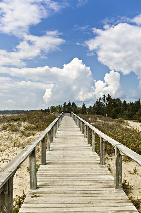 Wooden Boardwalk stock image. Image of wooden, trail 13345515