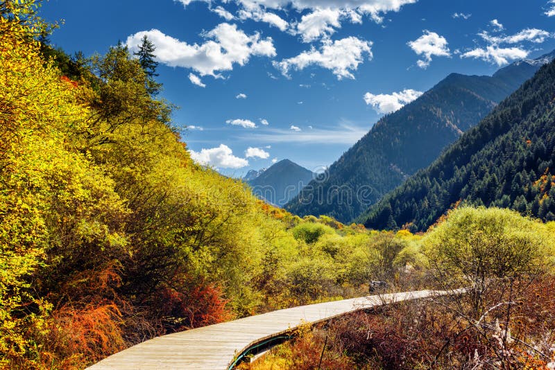 Autumn Forest And Lake In The Fall Season Stock Photo Image Of Leaves