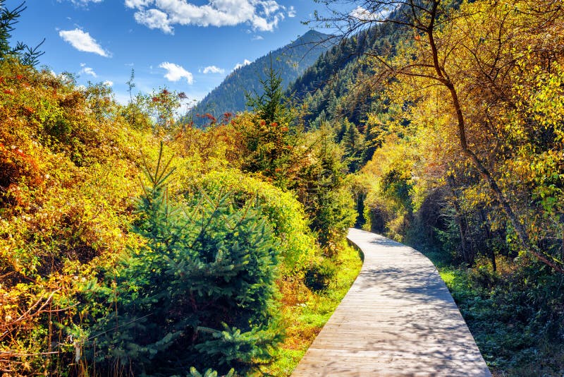 Autumn Forest And Lake In The Fall Season Stock Photo Image Of Leaves