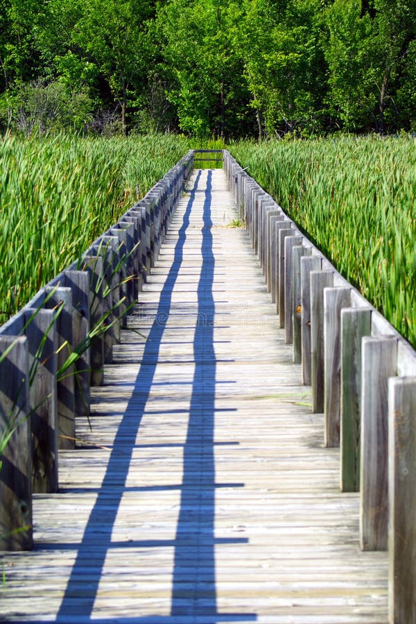 Wooden Boardwalk Through the Marshes