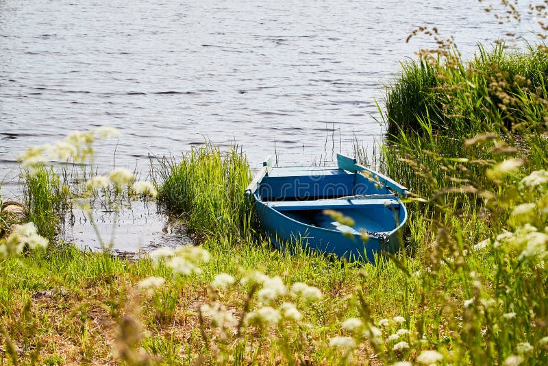 Wooden Boat Stranded Near Coast and Calm Water Lake with Grass and ...