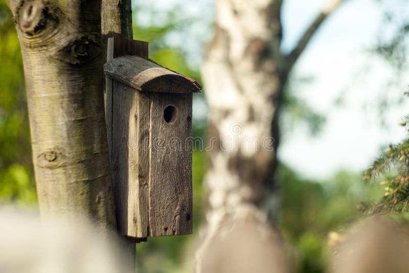 Wooden booth for birds on the tree. A bird house on the bruch. royalty free stock photo Wooden booth for birds on the tree. A bird house on the bruch. royalty free stock photo
