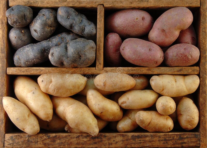 Wooden Box of Potatoes