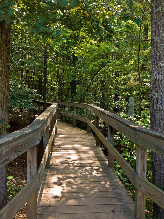 Drevený most vedúci les 