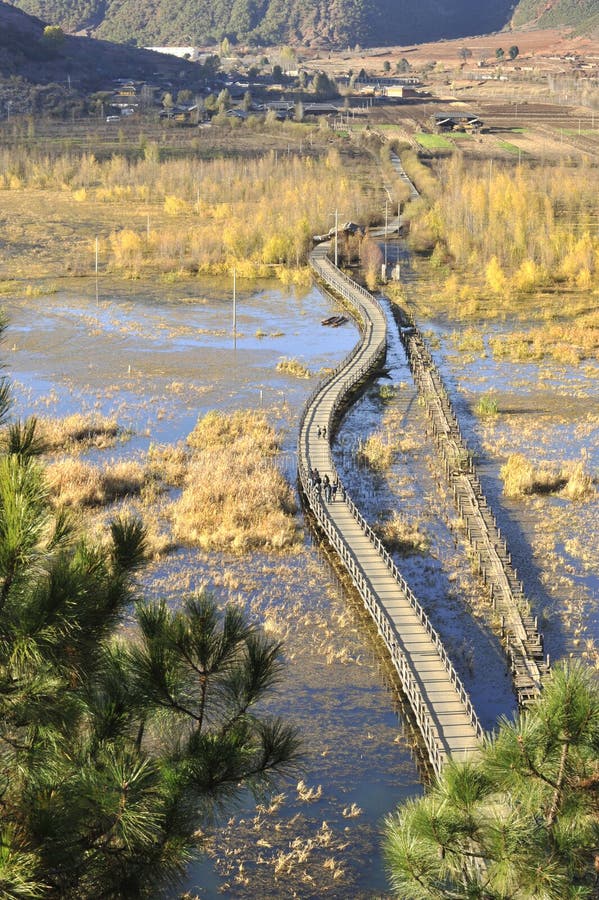 Wooden bridge