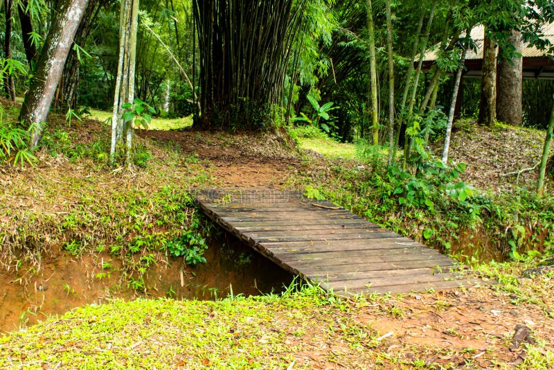 Wooden bridge crossing the Brook at Si Dit waterfall. Wooden bridge crossing the Brook at Si Dit waterfall , Phetchabun in Thailand royalty free stock photography Wooden bridge crossing the Brook at Si Dit waterfall. Wooden bridge crossing the Brook at Si Dit waterfall , Phetchabun in Thailand royalty free stock photography