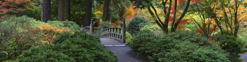 Wooden bridge, Japanese Garden