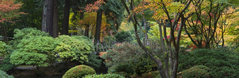 Wooden bridge, Japanese Garden