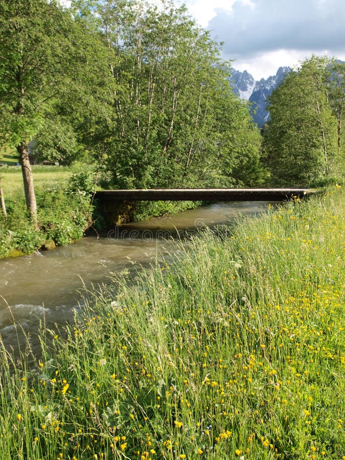 Wooden bridge in landscape