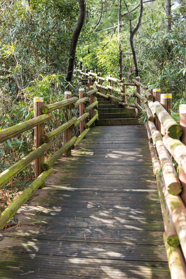 The Wooden Bridge Lead To the Park with Plants on the Both Side Stock