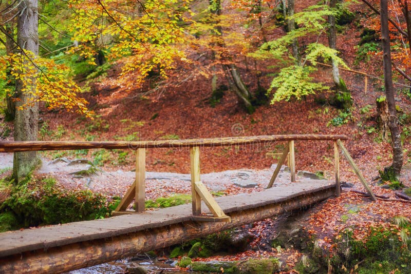 Wooden bridge over brook in autumn forest